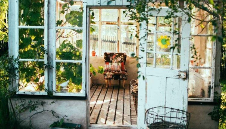 Como dar adeus às plantas invasoras com 3 misturinhas fáceis