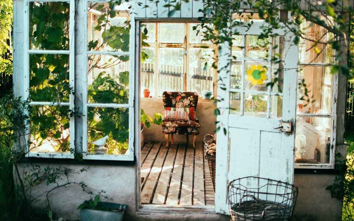 Como dar adeus às plantas invasoras com 3 misturinhas fáceis