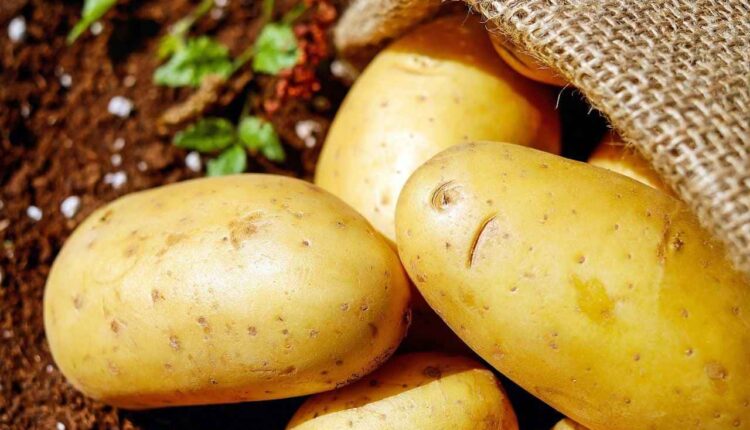 O que acontece se você passar batata na porta de casa?