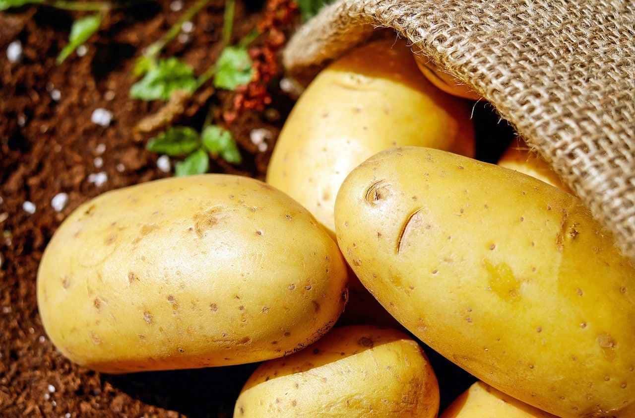 O que acontece se você passar batata na porta de casa?