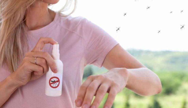 Repelente caseiro fácil: diga adeus aos mosquitos sem química